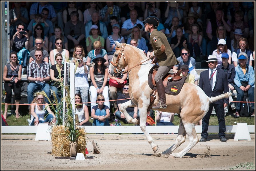 Pferd International 126